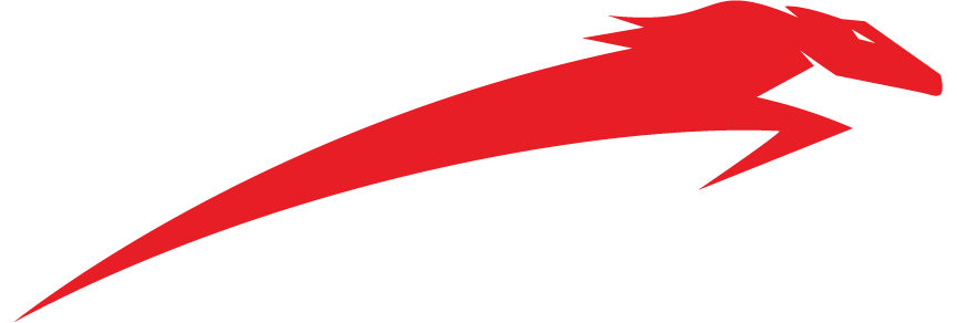 Stryder Motorfreight USA 4-horse@3x Stryder Group of Companies Appoints Mark Miller as President of the Warehousing Group  