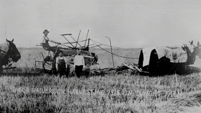 Harvesting farms in North Dakota